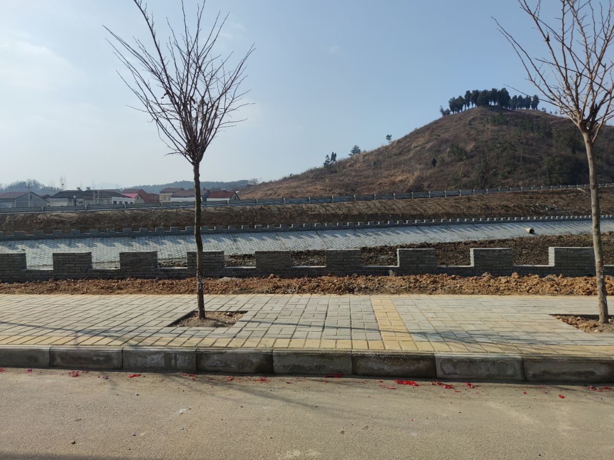A picture containing outdoor, sky, tree

Description automatically generated