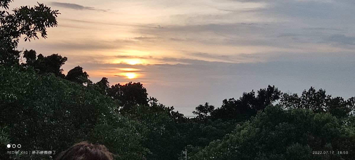 A picture containing tree, outdoor, sky, sunset

Description automatically generated